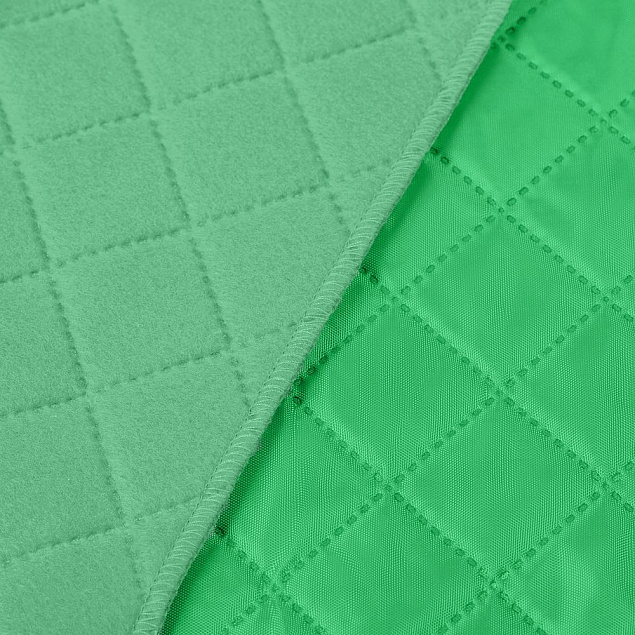Плед для пикника Soft & Dry, светло-зеленый с логотипом в Самаре заказать по выгодной цене в кибермаркете AvroraStore
