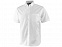 Рубашка Stirling мужская с коротким рукавом с логотипом в Самаре заказать по выгодной цене в кибермаркете AvroraStore