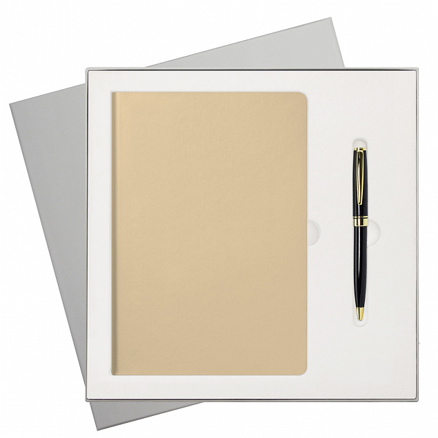 Подарочный набор Spark, белое золото (ежедневник, ручка) с логотипом в Самаре заказать по выгодной цене в кибермаркете AvroraStore