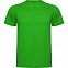 Спортивная футболка MONTECARLO мужская, ПАПАРОТНИКОВЫЙ S с логотипом в Самаре заказать по выгодной цене в кибермаркете AvroraStore