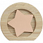 Стела Constanta Light, с бронзовой звездой с логотипом в Самаре заказать по выгодной цене в кибермаркете AvroraStore