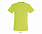 Фуфайка (футболка) REGENT мужская,Песочный L с логотипом в Самаре заказать по выгодной цене в кибермаркете AvroraStore