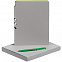 Набор Flexpen, серебристо-зеленый с логотипом в Самаре заказать по выгодной цене в кибермаркете AvroraStore