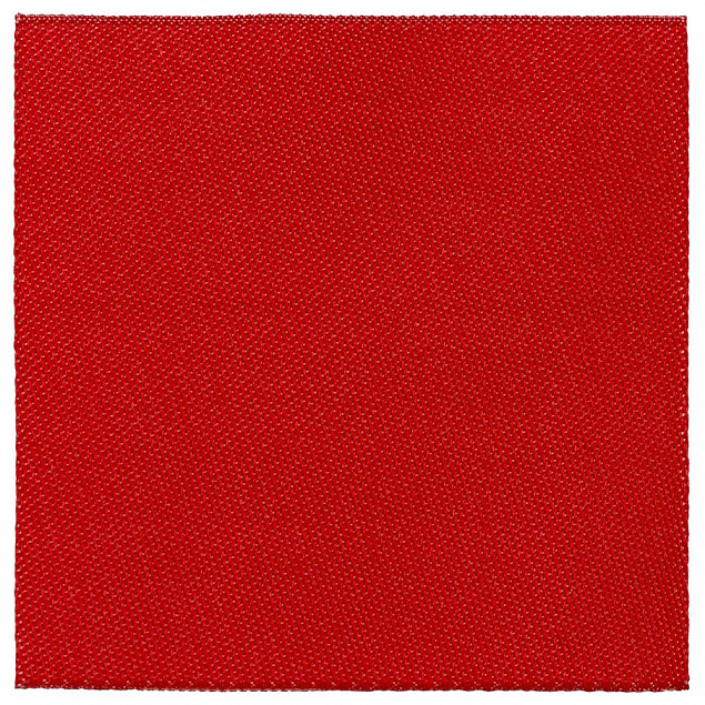 Лейбл тканевый Epsilon, L, красный с логотипом в Самаре заказать по выгодной цене в кибермаркете AvroraStore