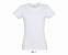 Фуфайка (футболка) IMPERIAL женская,Светлый меланж L с логотипом в Самаре заказать по выгодной цене в кибермаркете AvroraStore