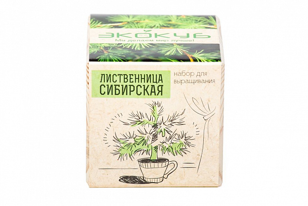 Набор для выращивания «Экокуб», лиственница сибирская с логотипом в Самаре заказать по выгодной цене в кибермаркете AvroraStore