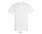 Фуфайка (футболка) REGENT мужская,Лимонный XXS с логотипом в Самаре заказать по выгодной цене в кибермаркете AvroraStore