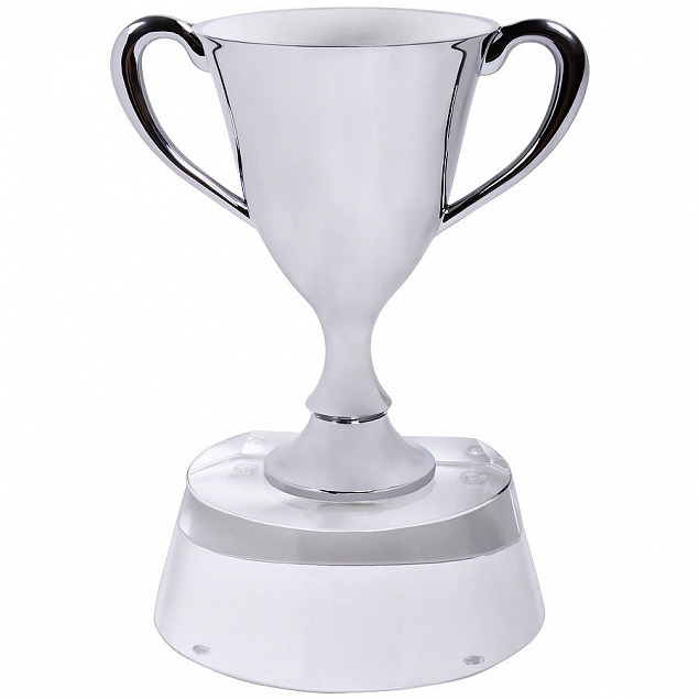 Стела  "Кубок победителя" в подарочной упаковке с логотипом в Самаре заказать по выгодной цене в кибермаркете AvroraStore