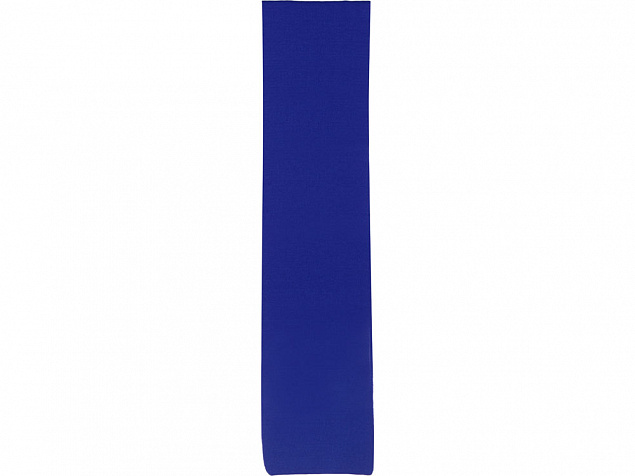 Шарф Dunant, классический синий с логотипом в Самаре заказать по выгодной цене в кибермаркете AvroraStore