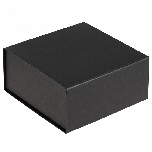 Коробка Amaze, черная с логотипом в Самаре заказать по выгодной цене в кибермаркете AvroraStore