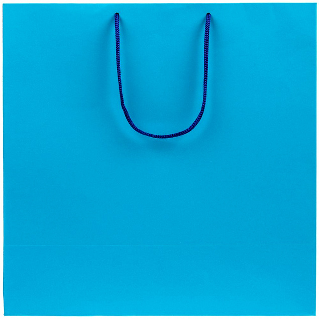Пакет Porta, большой, голубой с логотипом в Самаре заказать по выгодной цене в кибермаркете AvroraStore