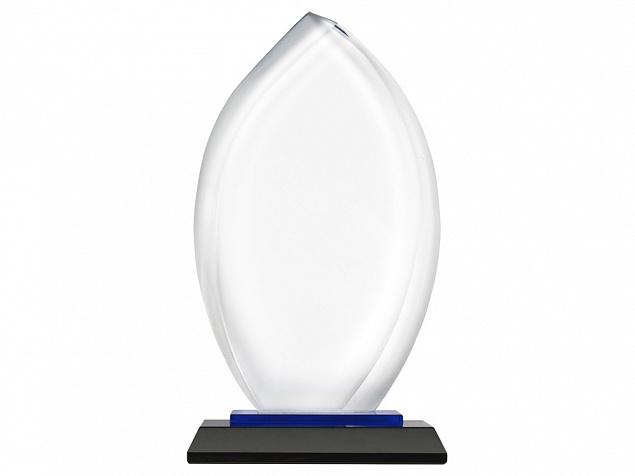 Награда Flame с логотипом в Самаре заказать по выгодной цене в кибермаркете AvroraStore