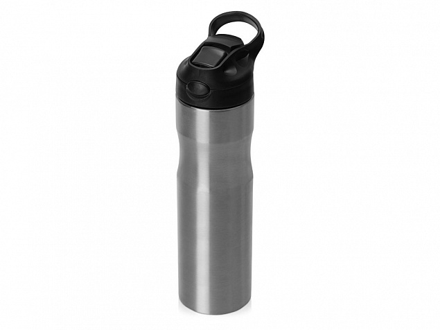 Бутылка для воды Hike Waterline, нерж сталь, 850 мл, серебристый с логотипом в Самаре заказать по выгодной цене в кибермаркете AvroraStore