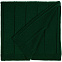 Плед Bambolay, темно-зеленый с логотипом в Самаре заказать по выгодной цене в кибермаркете AvroraStore