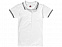 Рубашка поло "Erie" женская с логотипом в Самаре заказать по выгодной цене в кибермаркете AvroraStore