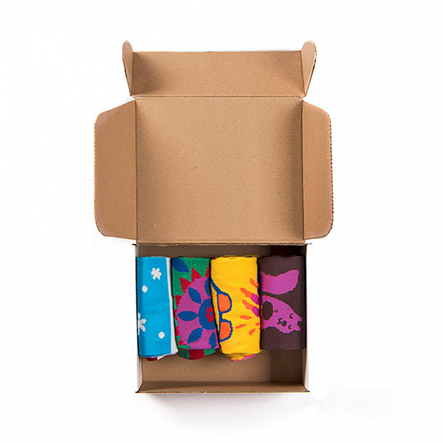 Подарочный набор  "4 сезона", 4 пары тематических носков и авторский календарь с логотипом в Самаре заказать по выгодной цене в кибермаркете AvroraStore