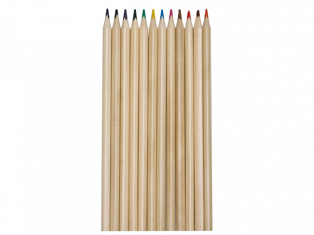 Набор из 12 трехгранных цветных карандашей «Painter» с логотипом в Самаре заказать по выгодной цене в кибермаркете AvroraStore
